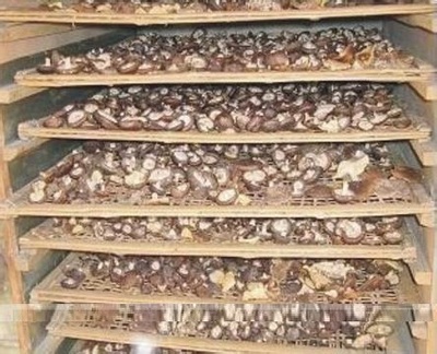 香菇烘干機，熱泵熱水器，節(jié)能熱水器，